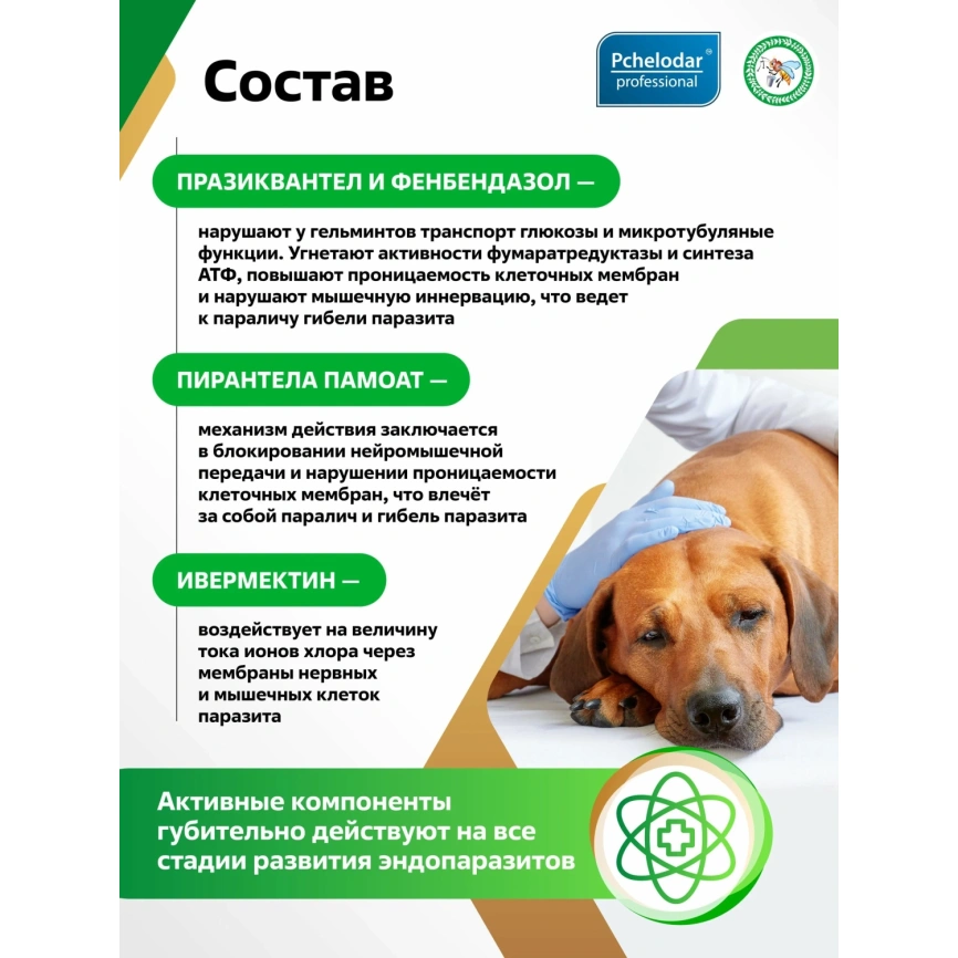 Антигельминтик Пчелодар для собак, средних пород, Фенпраз Форте суспензия, 10 мл фото 3