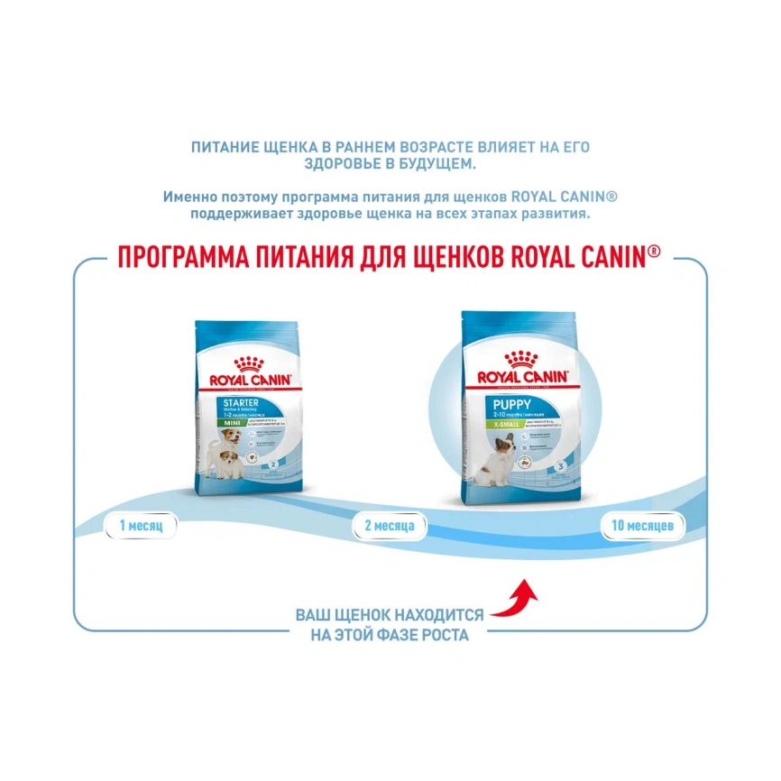 Сухой корм Royal Canin X-Small Puppy для щенков, 1,5 кг фото 11