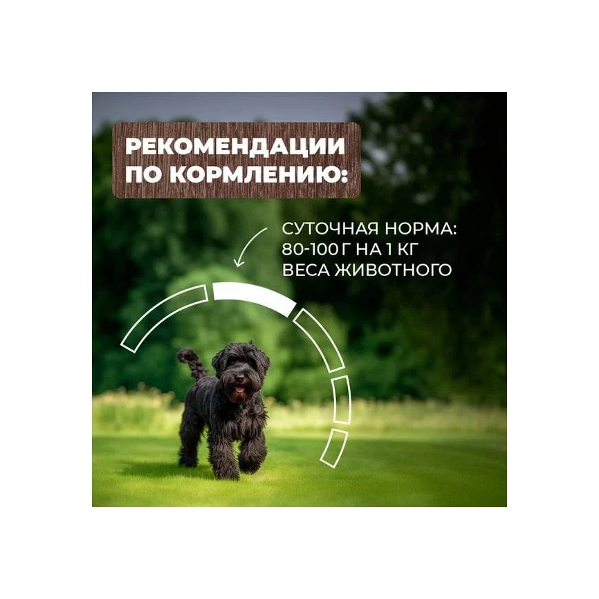 Влажный корм Родные корма для собак, гусиные кусочки в соусе по-старорусски, 970 г фото 5