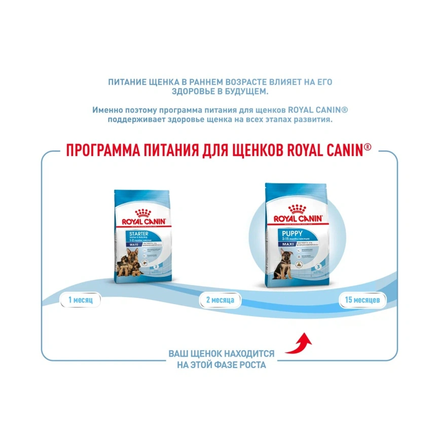 Сухой корм Royal Canin Maxi Puppy для щенков, 3 кг фото 15