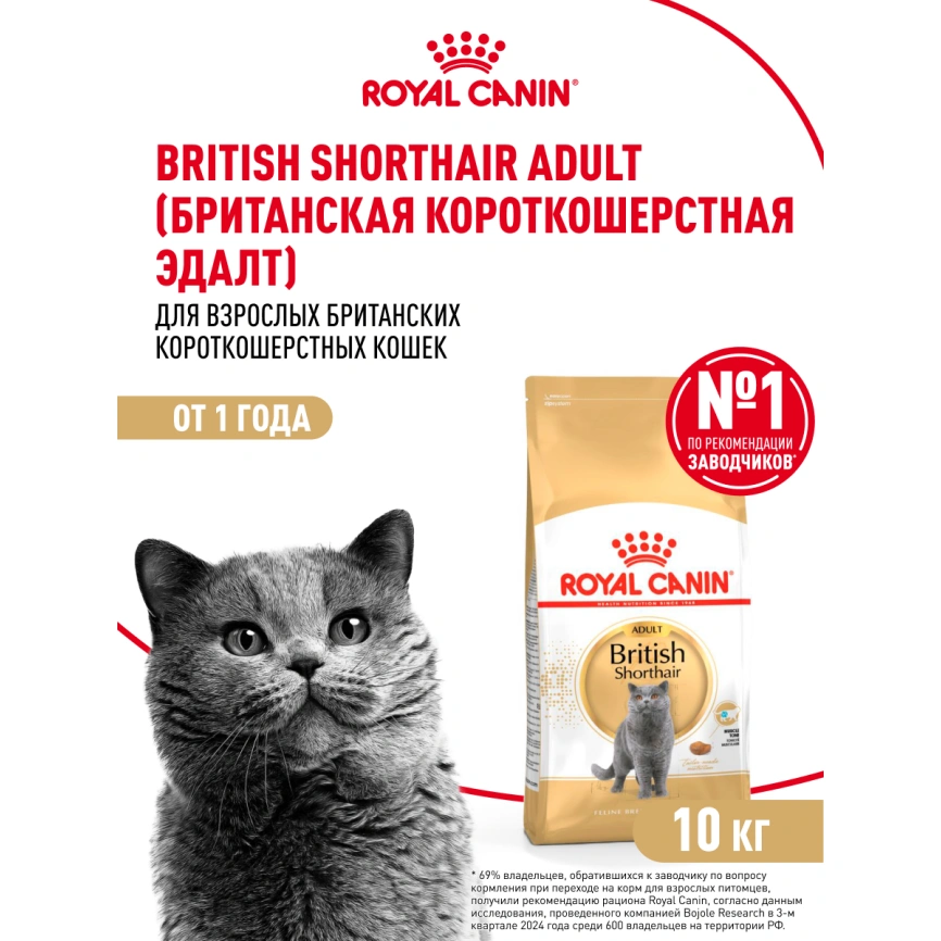 Сухой корм Royal Canin British Shorthair для кошек породы британская короткошерстная, 10 кг фото 13