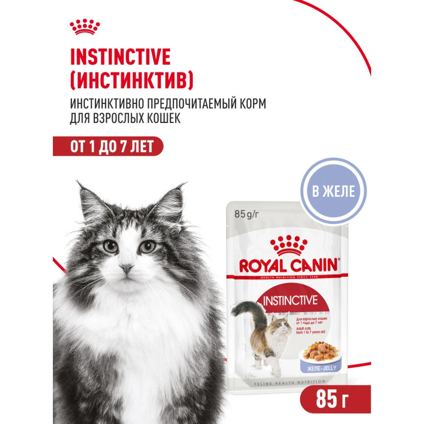 Влажный корм Royal Canin Instinctive в желе для взрослых кошек старше 1 года, пауч, 85 г фото 17