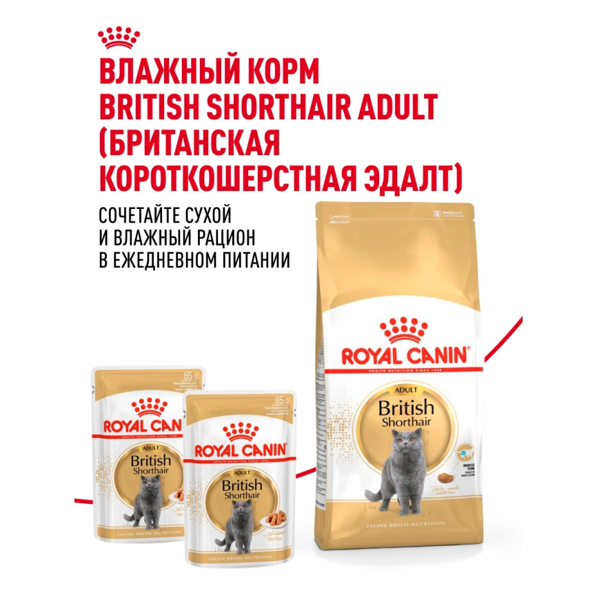 Сухой корм Royal Canin British Shorthair для кошек породы британская короткошерстная, 10 кг фото 27