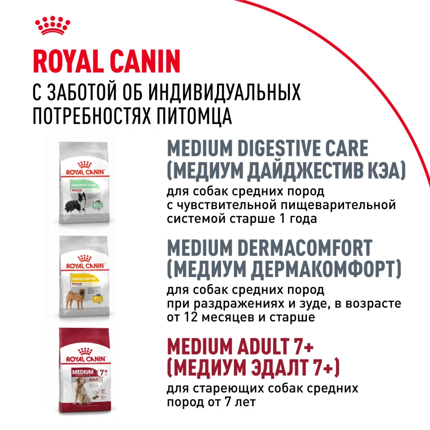 Сухой корм Royal Canin Medium Adult для собак, 3 кг фото 9