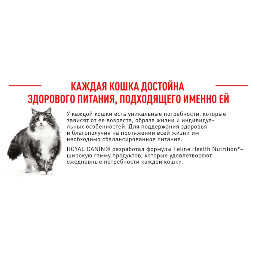 Сухой корм Royal Canin Sterilised для кастрированных котов и стерилизованных кошек, 400 г фото 3