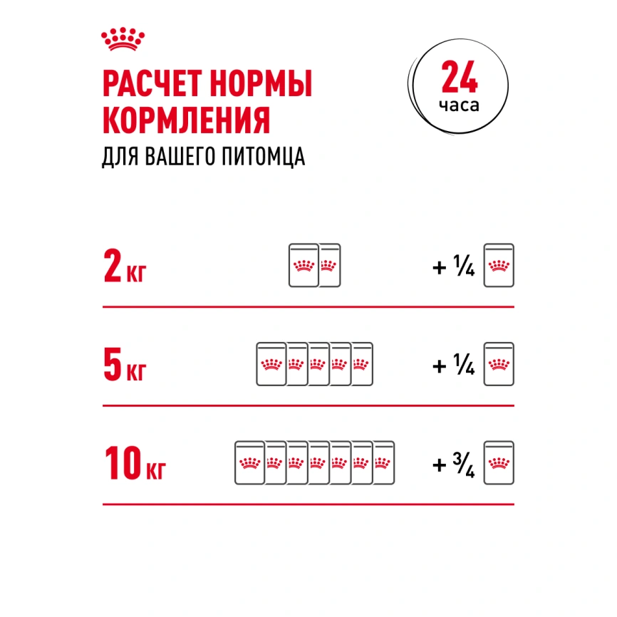 Влажный корм Royal Canin Mini Adult в соусе для взрослых собак мелких пород старше 10 месяцев, пауч, 85 г фото 8