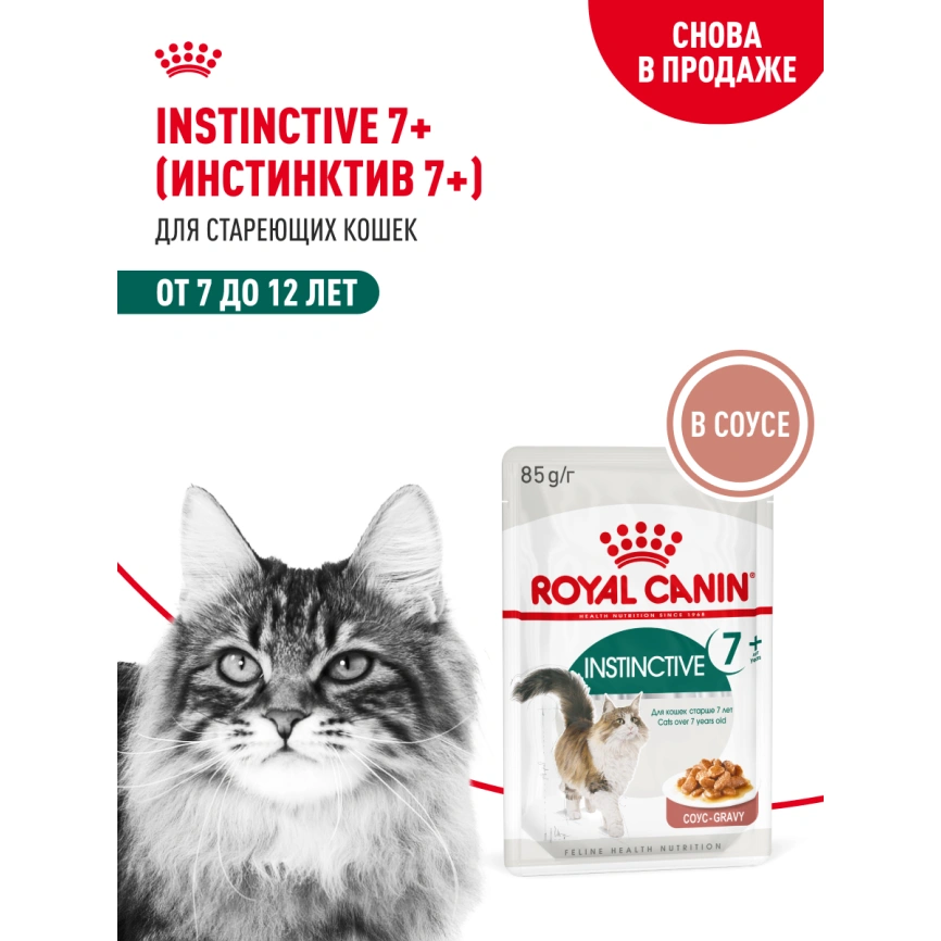 Влажный корм Royal Canin Instinctive 7+ в соусе для кошек старше 7 лет, пауч, 85 г фото 14
