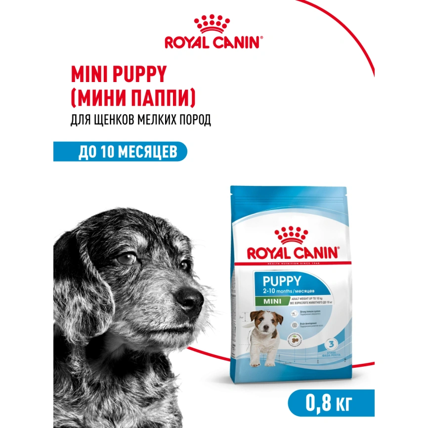 Сухой корм Royal Canin Mini Puppy для щенков, 800 г фото 14