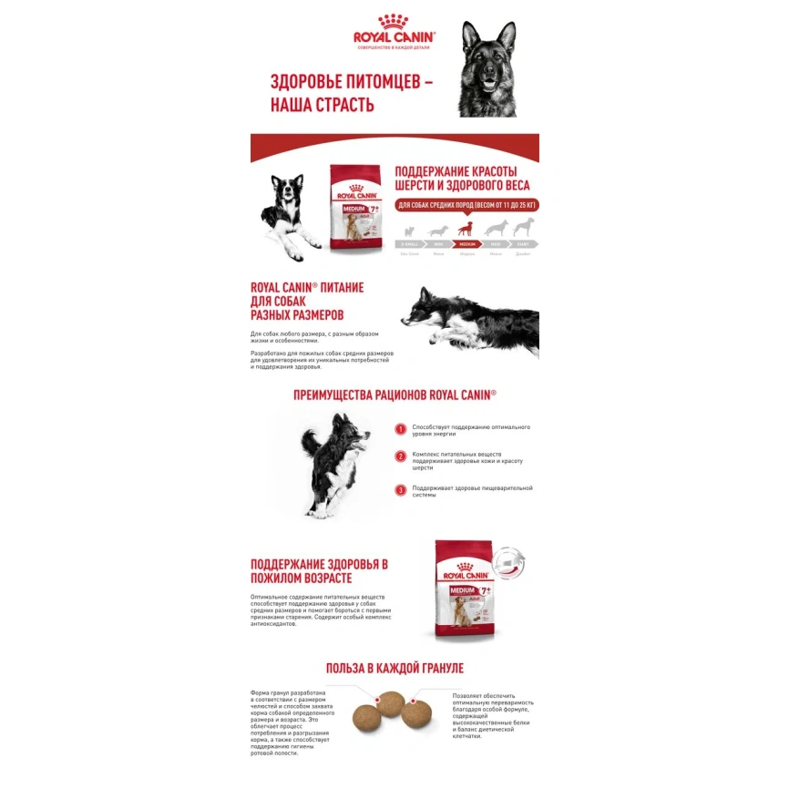 Сухой корм Royal Canin Medium Adult 7+ для собак, 4 кг фото 10
