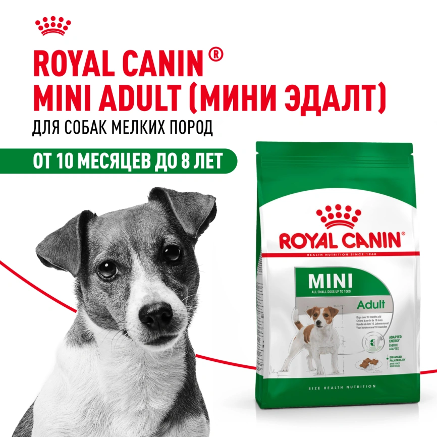 Сухой корм Royal Canin Mini Adult для взрослых собак, 2 кг фото 14