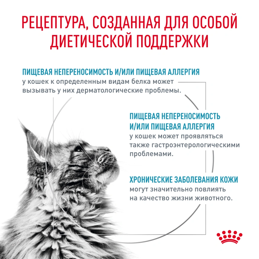 Сухой корм Royal Canin Hypoallergeniс для кошек, 350 г фото 2