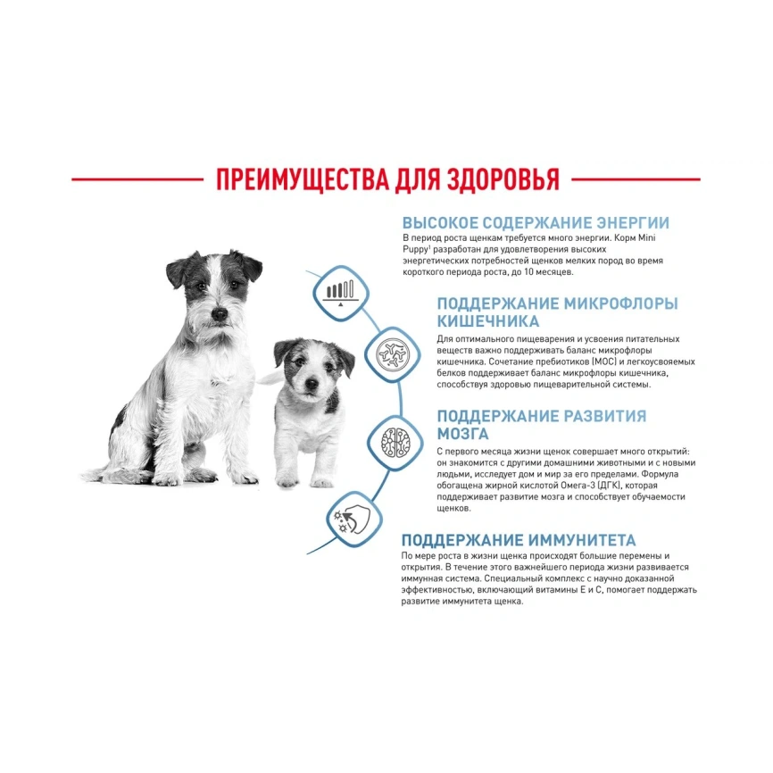 Сухой корм Royal Canin Mini Puppy для щенков, 800 г фото 16