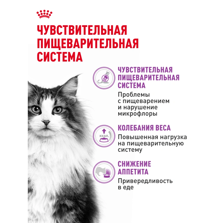 Сухой корм Royal Canin Sensible для кошек, 400 г фото 17