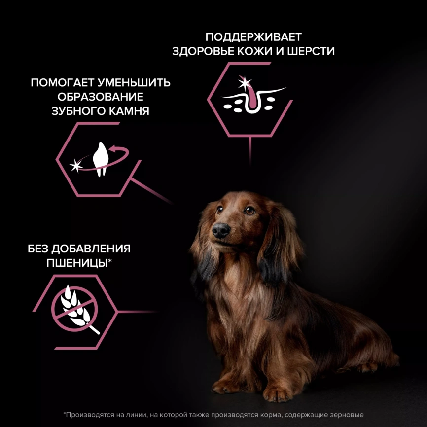 Сухой корм PRO PLAN Salmon для взрослых собак мелких и карликовых пород с чувствительной кожей, с высоким содержанием лосося, 7 кг фото 2