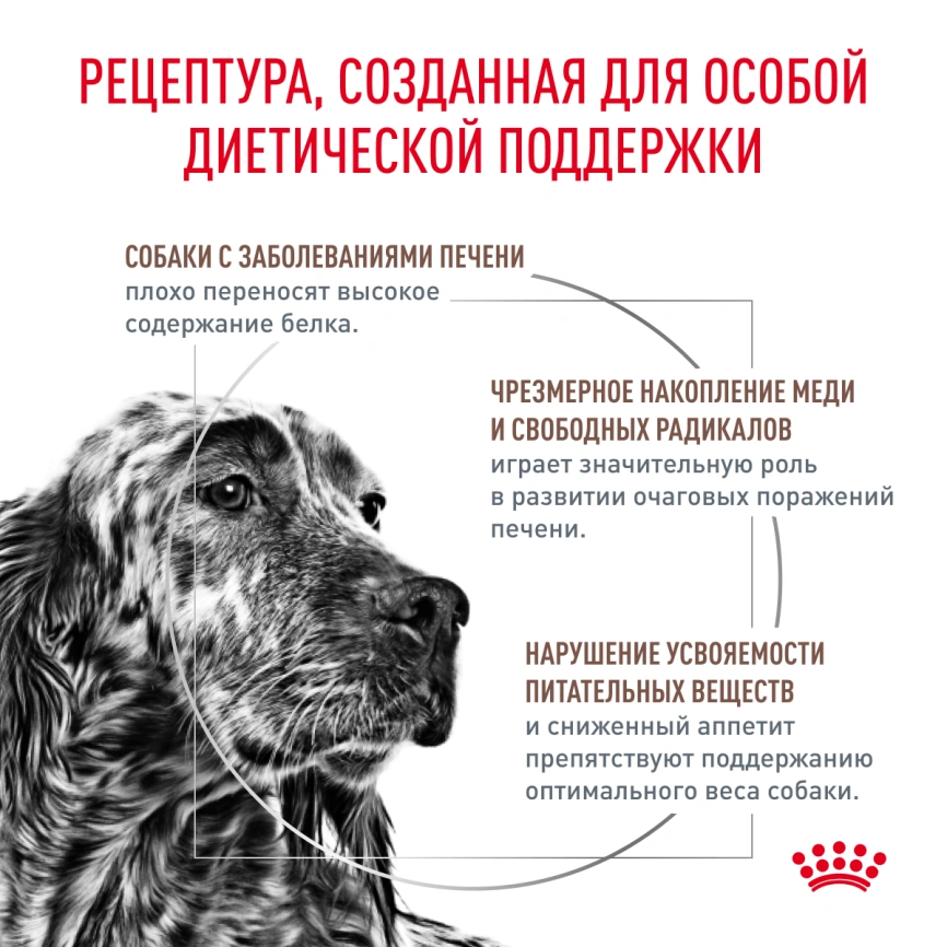 Сухой корм Royal Canin Hepatiс для собак, 6 кг фото 3