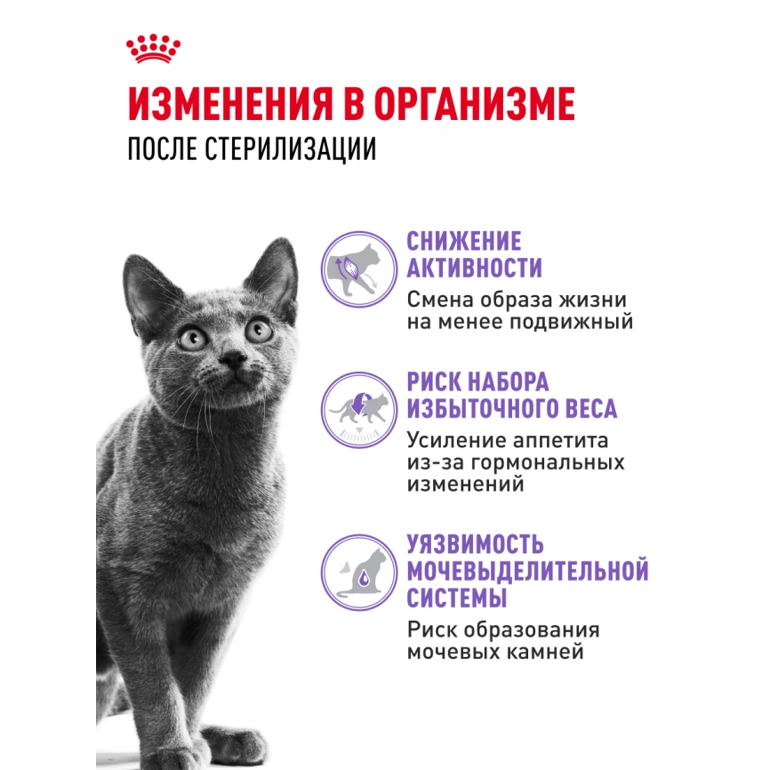 Сухой корм Royal Canin Sterilised для кастрированных котов и стерилизованных кошек, 2 кг фото 22