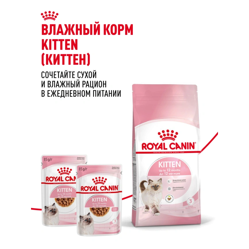 Сухой корм Royal Canin Kitten для котят, 10 кг фото 27