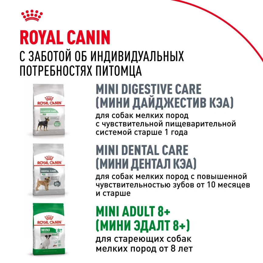 Сухой корм Royal Canin Mini Adult для взрослых собак, 800 фото 10