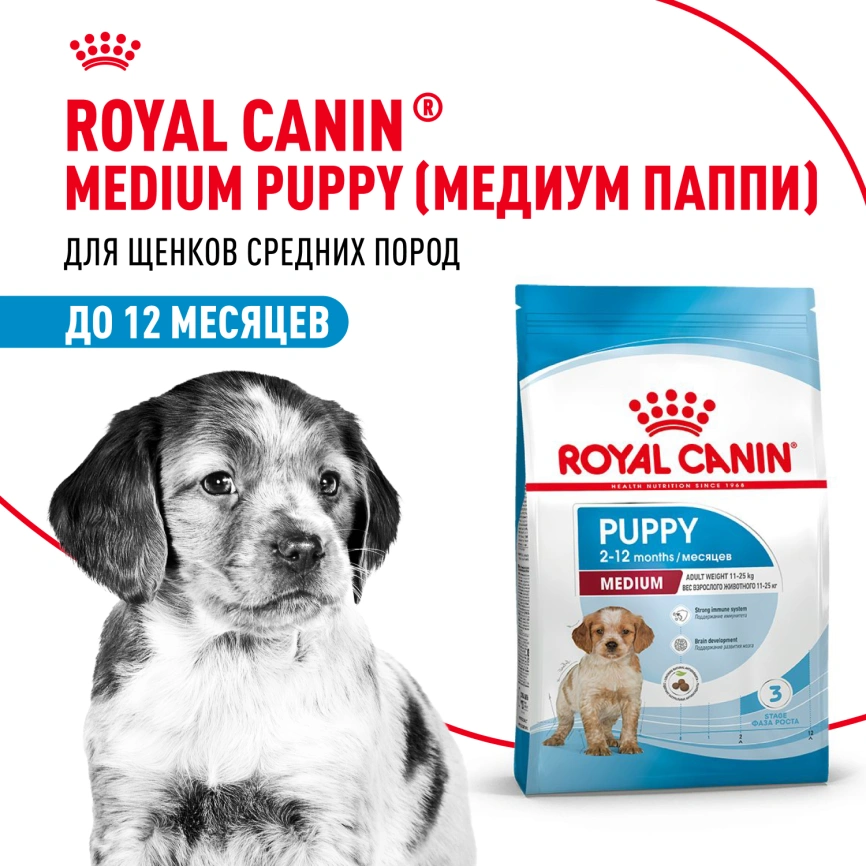 Сухой корм Royal Canin Medium Puppy для щенков, 3 кг фото 11