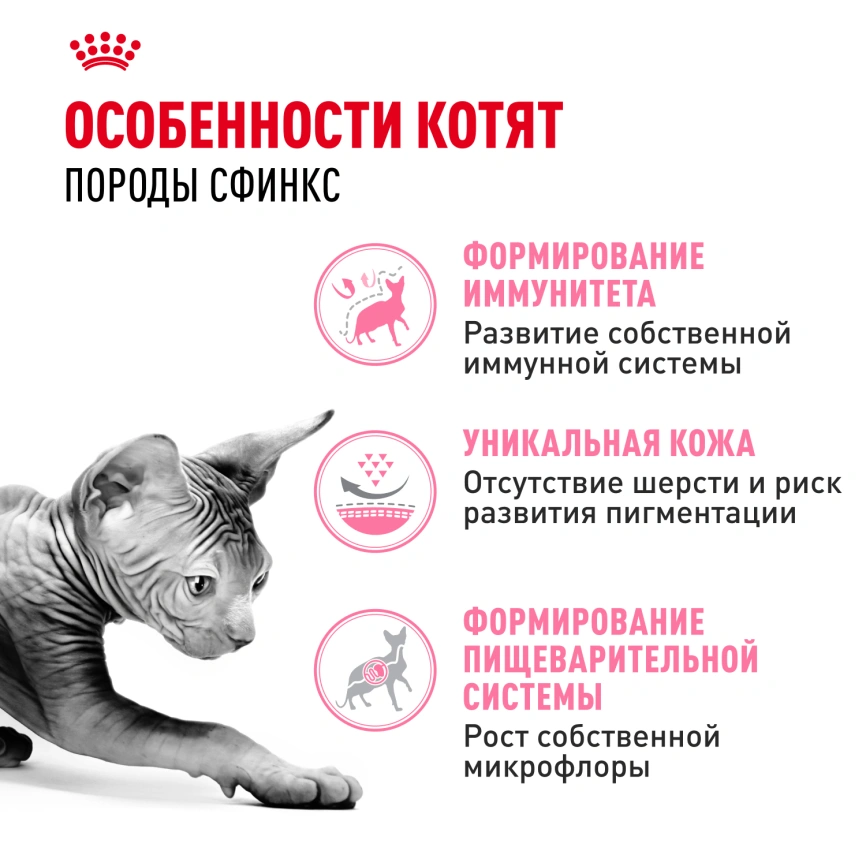 Сухой корм Royal Canin Sphynx Kitten для котят породы сфинкс до 12 месяцев, 400 г фото 2