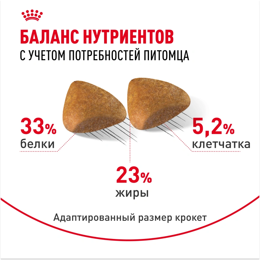 Сухой корм Royal Canin Sphynx для кошек породы сфинкс, 2 кг фото 4