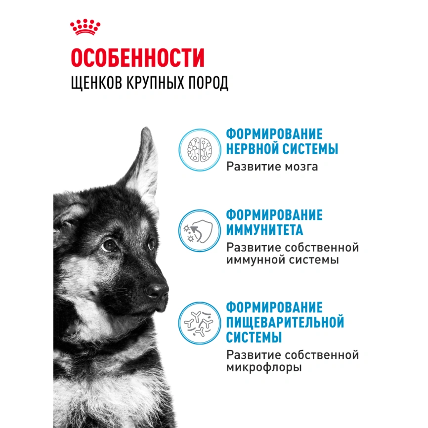 Сухой корм Royal Canin Maxi Puppy для щенков, 3 кг фото 19