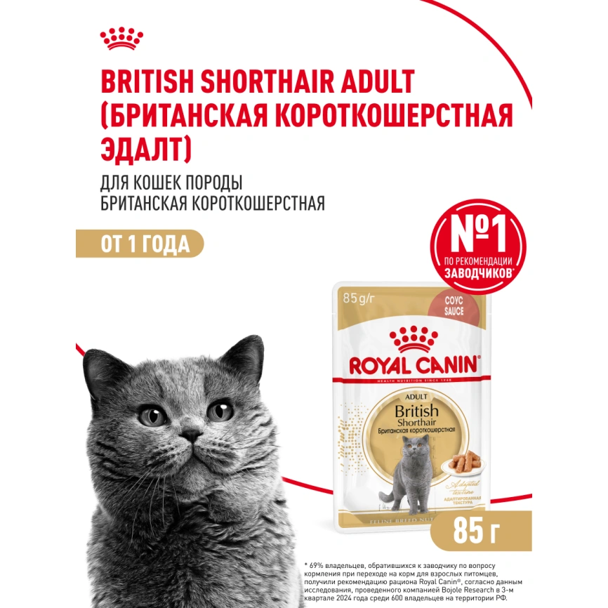 Влажный корм Royal Canin British Shorthair в соусе для кошек породы британская короткошерстная и шотландская вислоухая старше 1 года, пауч, 85 г фото 16