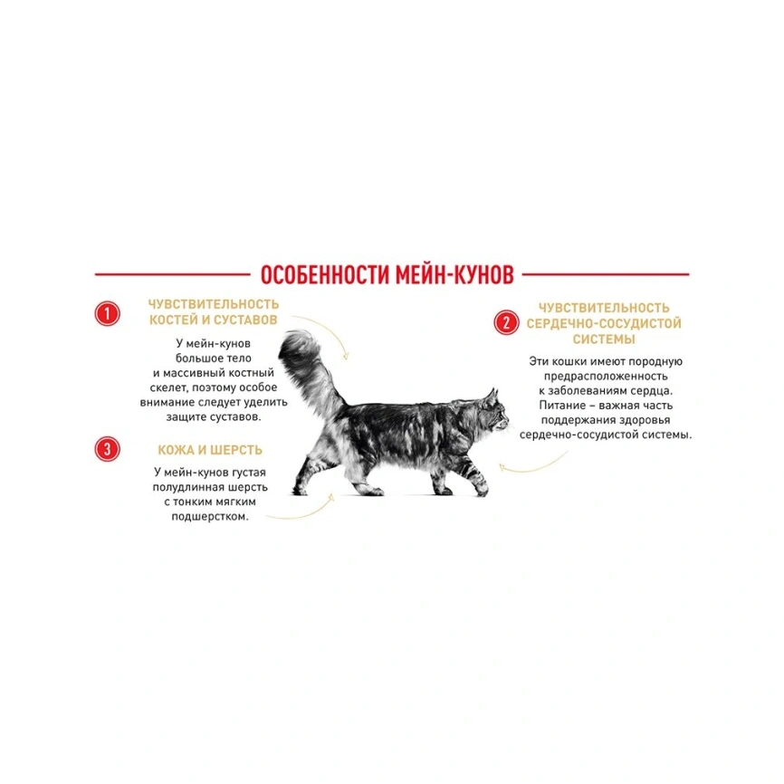 Сухой корм Royal Canin Maine Coon для кошек, 400 г фото 14