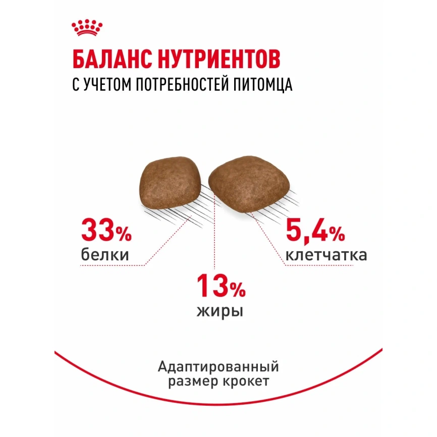 Сухой корм Royal Canin Urinary Care для поддержания здоровья мочевыделительной системы кошек, 2 кг фото 5