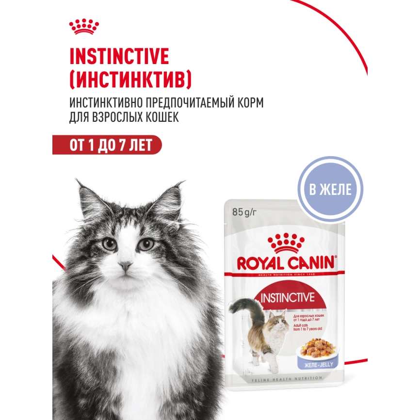 Влажный корм Royal Canin Instinctive в желе для взрослых кошек старше 1 года, пауч, 85 г фото 15