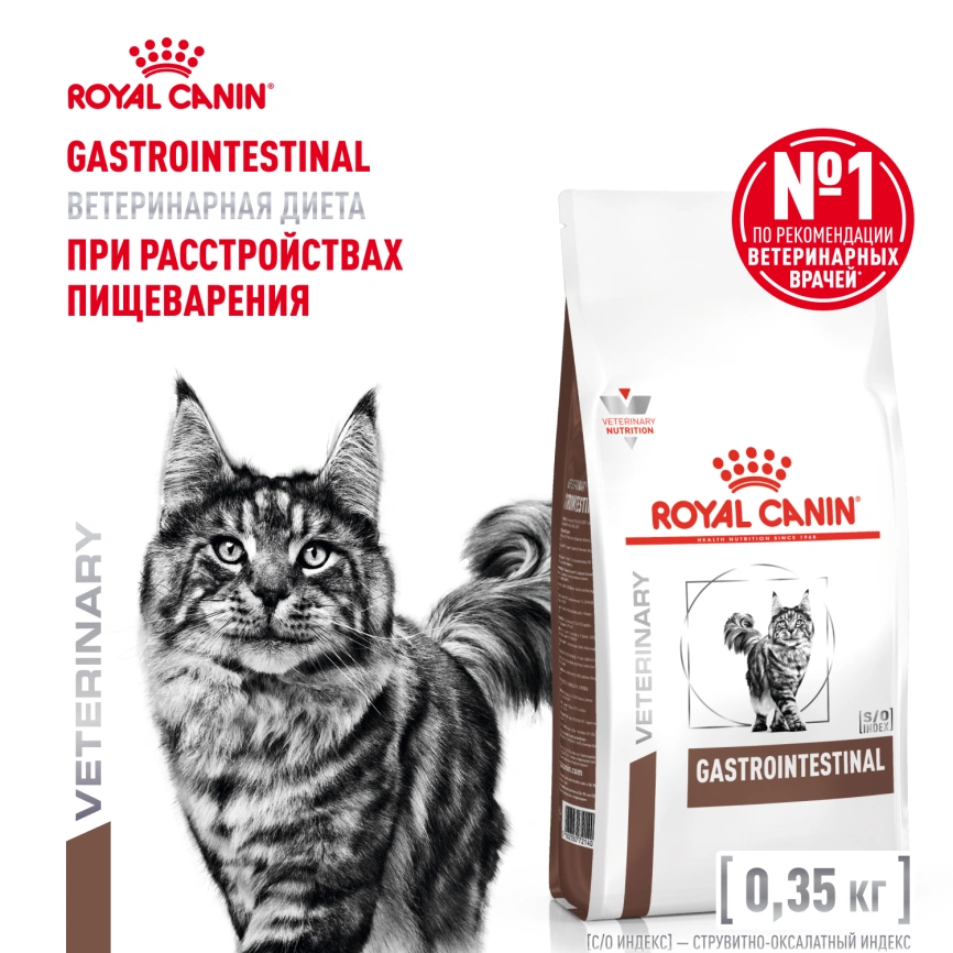 Сухой корм Royal Canin Gastrointestinal для кошек, 350 г фото 1