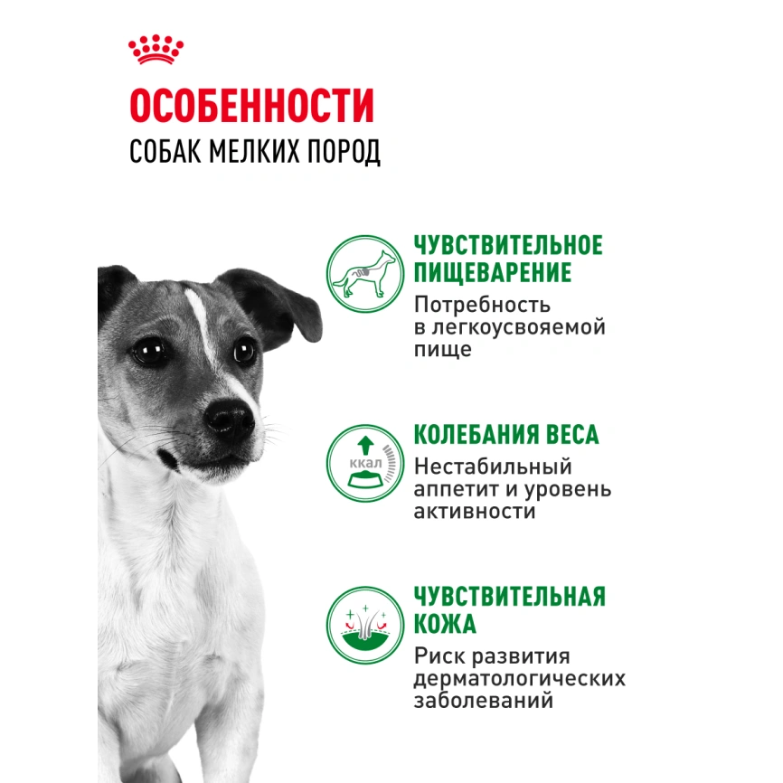 Влажный корм Royal Canin Mini Adult в соусе для взрослых собак мелких пород старше 10 месяцев, пауч, 85 г фото 2