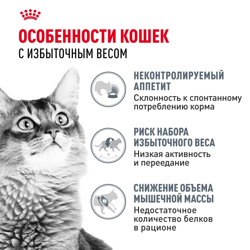 Влажный корм Royal Canin Light Weight Care в желе для взрослых кошек, склонных к полноте, пауч, 85 г фото 3