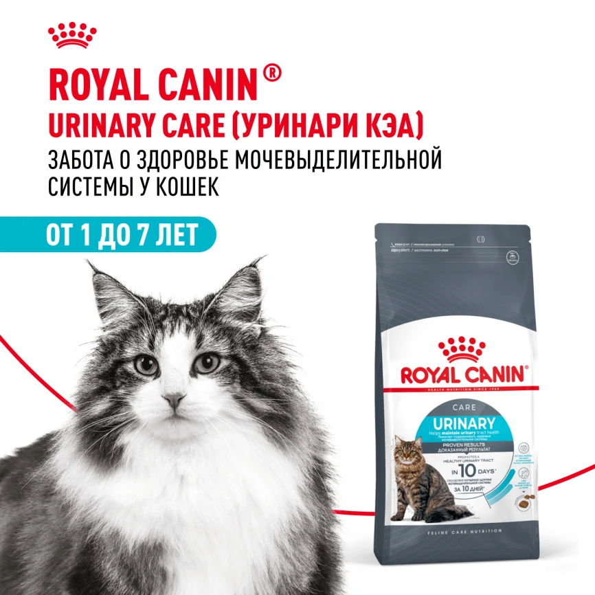 Сухой корм Royal Canin Urinary Care для поддержания здоровья мочевыделительной системы кошек, 4 кг фото 13