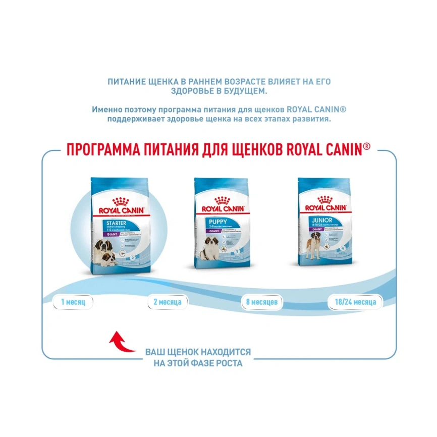 Сухой корм Royal Canin Giant Starter Mother & Babydog для щенков и собак, 15 кг фото 9
