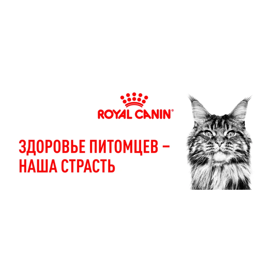 Сухой корм Royal Canin Sterilised для кастрированных котов и стерилизованных кошек, 400 г фото 8