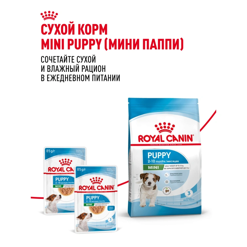 Влажный корм Royal Canin Mini Puppy в соусе для щенков мелких пород до 10 месяцев, пауч, 85 г фото 19