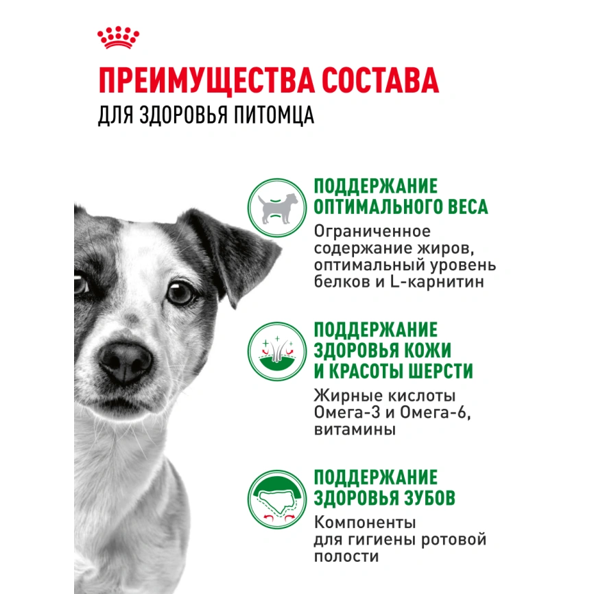 Сухой корм Royal Canin Mini Adult для взрослых собак, 4 кг фото 17