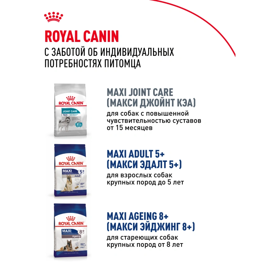 Сухой корм Royal Canin Maxi Adult для собак, 3 кг фото 21