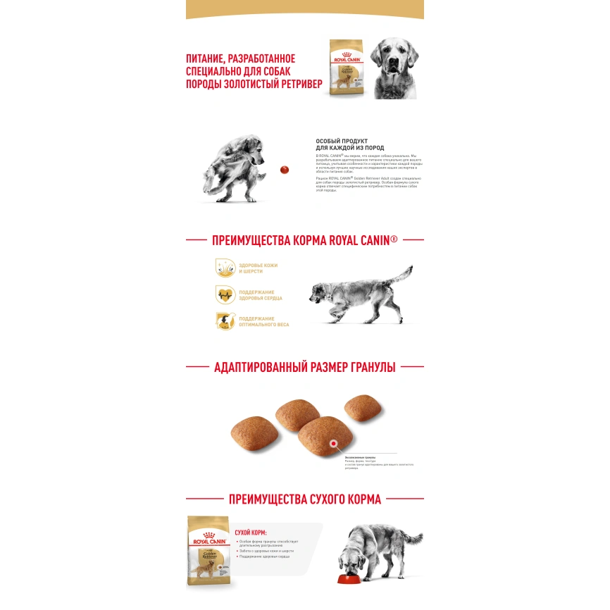 Сухой корм Royal Canin Golden Retriever Adult для собак, 3 кг фото 13