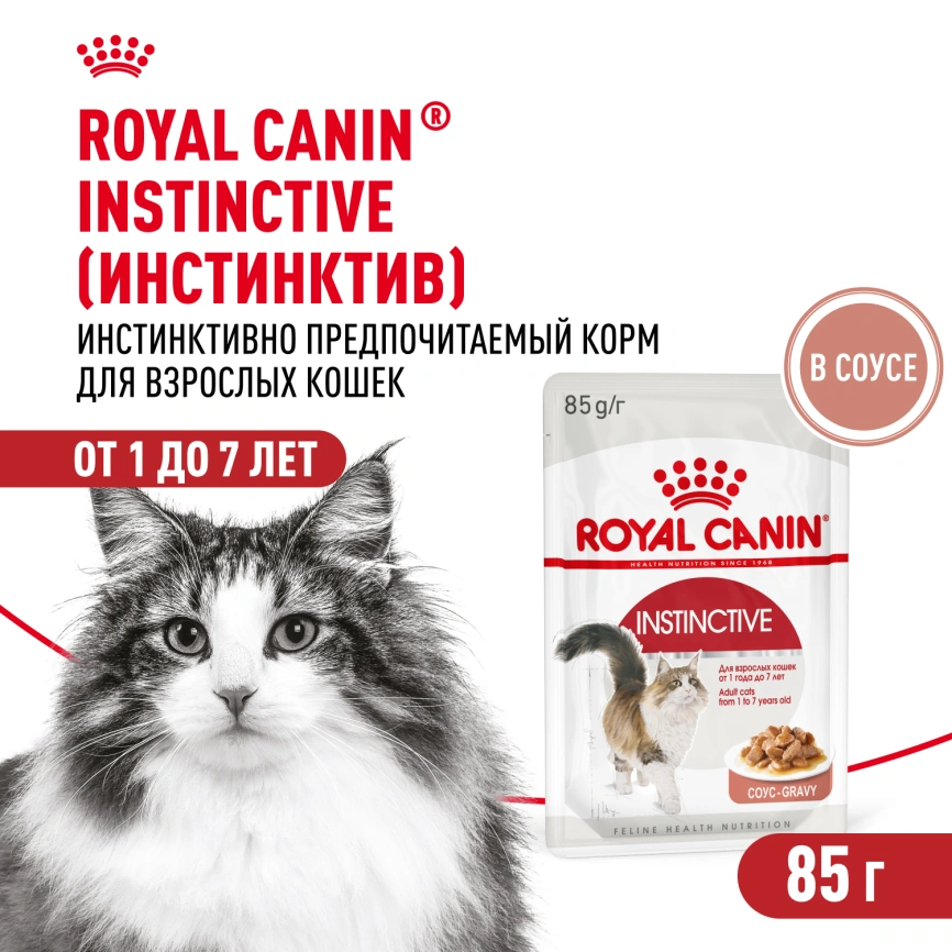 Влажный корм Royal Canin Instinctive в соусе для взрослых кошек старше 1 года, пауч, 85 г фото 1