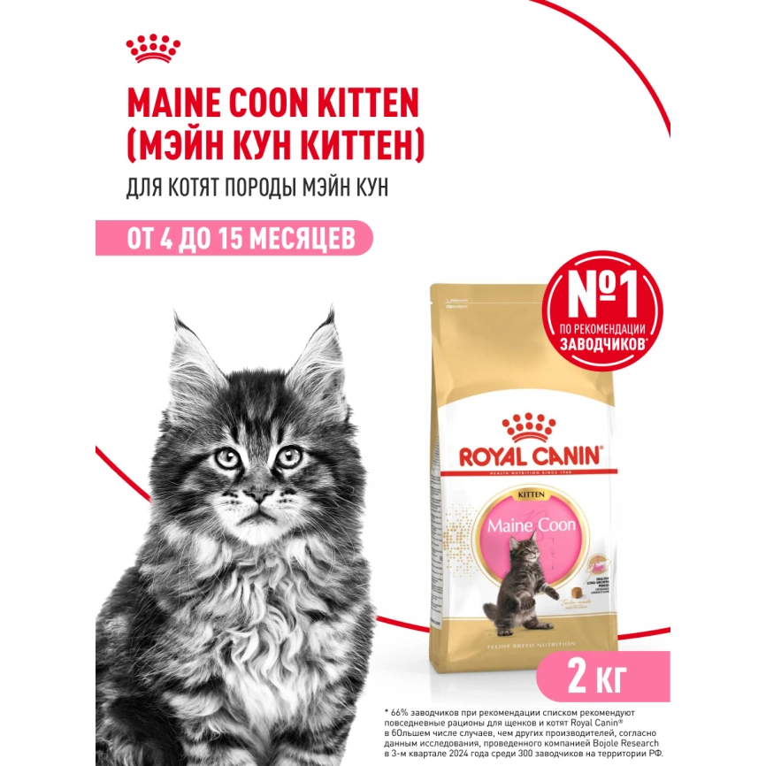 Сухой корм Royal Canin Kitten Maine Coon для котят, 2 кг фото 15