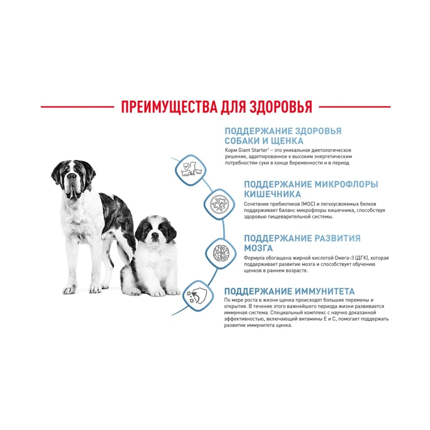 Сухой корм Royal Canin Giant Starter Mother & Babydog для щенков и собак, 4 кг фото 14