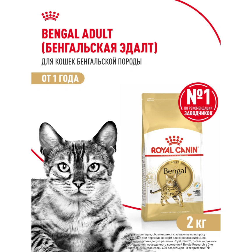 Сухой корм Royal Canin Bengal для кошек бенгальской породы, 2 кг фото 14