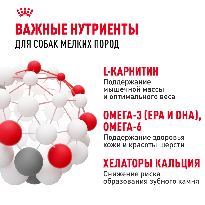 Сухой корм Royal Canin Mini Adult для взрослых собак, 2 кг фото 2