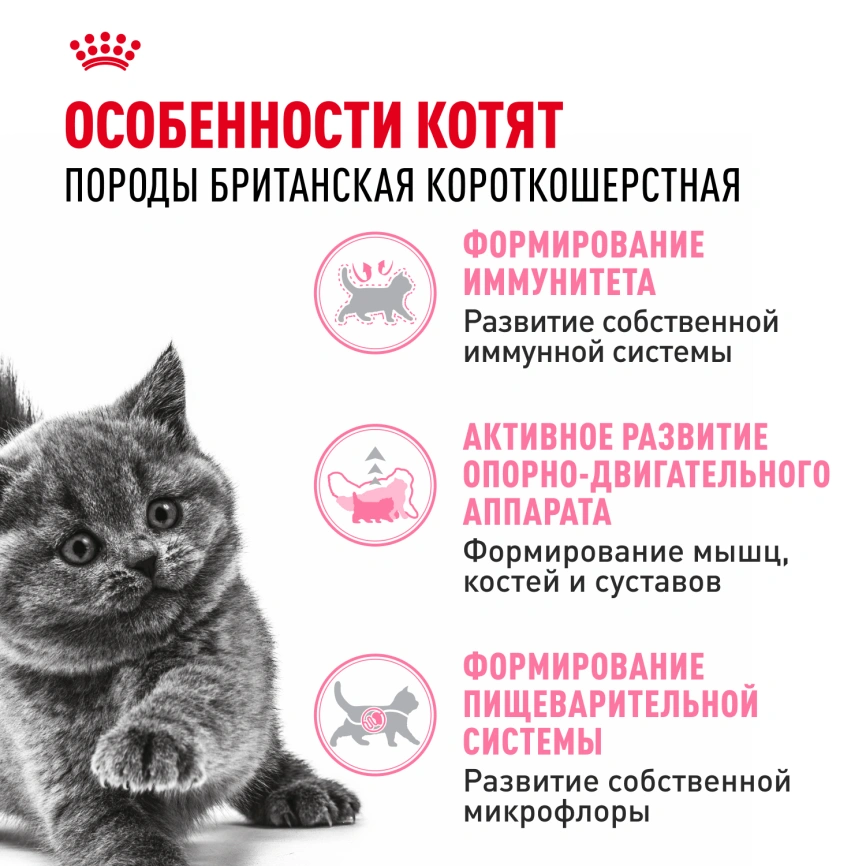 Сухой корм Royal Canin Kitten British Shorthair для котят, 2 кг фото 2