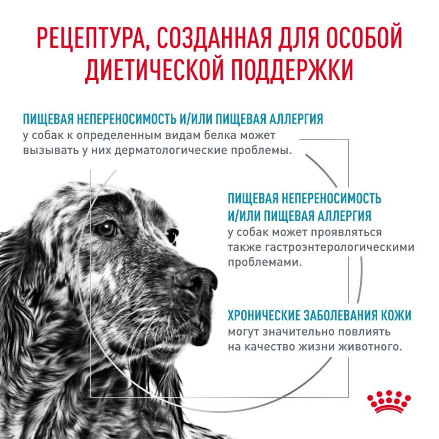 Сухой корм Royal Canin Hypoallergeniс для собак, 14 кг фото 5