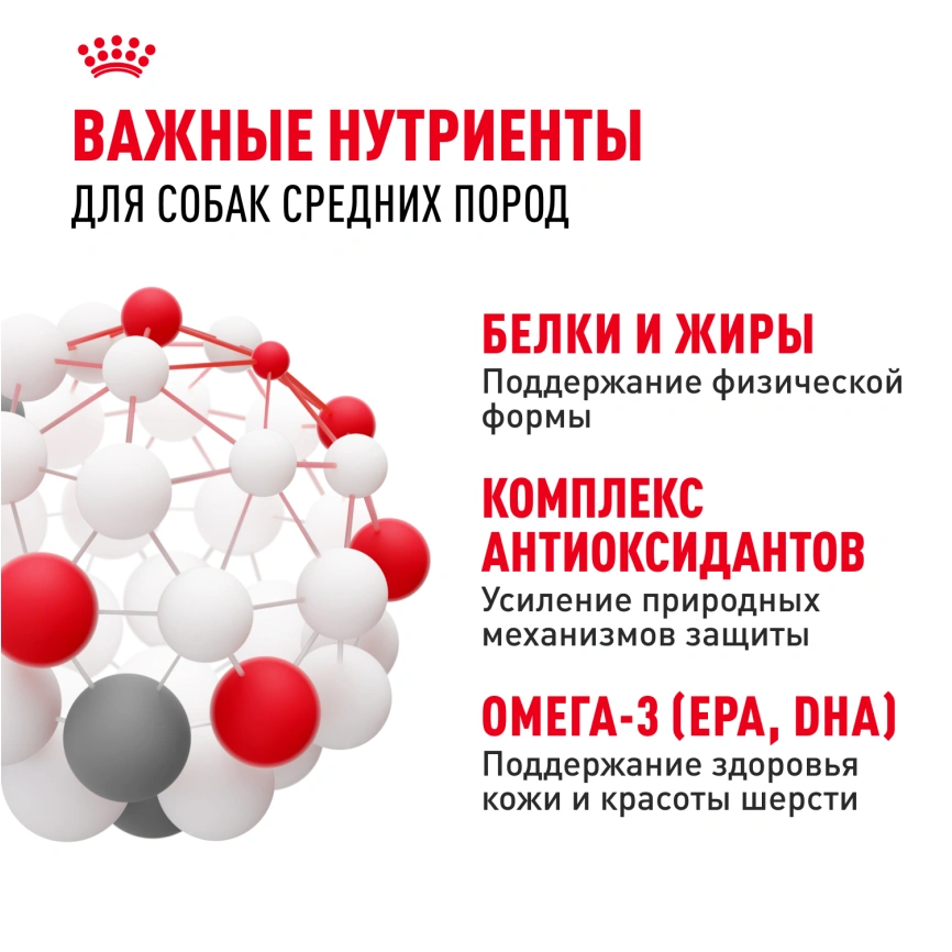 Сухой корм Royal Canin Medium Adult для собак, 3 кг фото 5