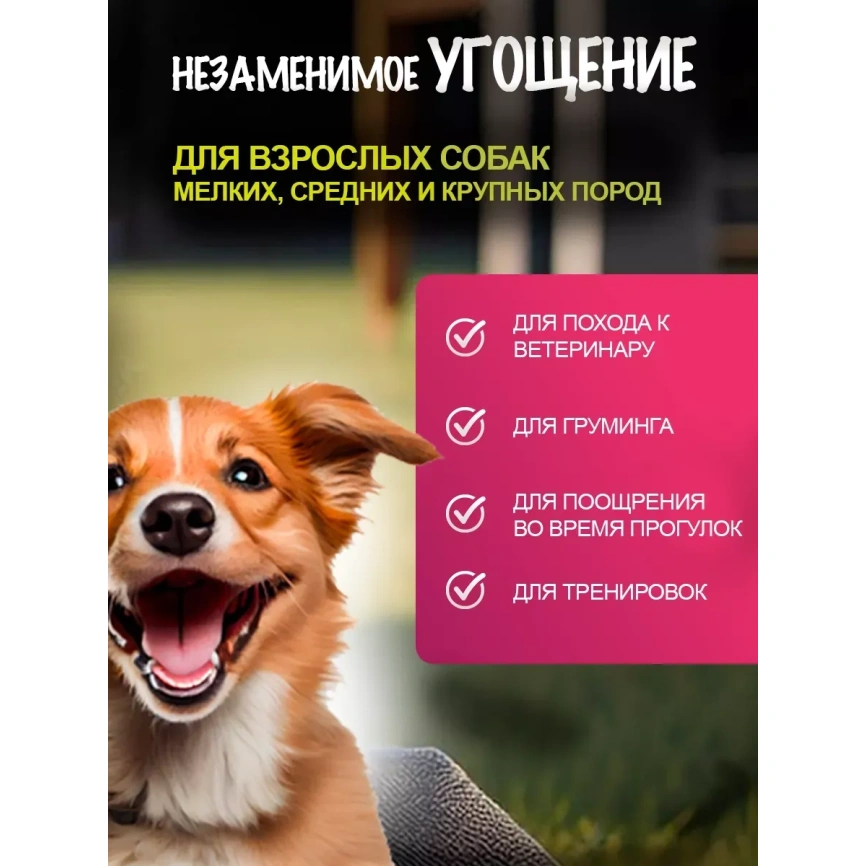 Лакомство Dog Fest шашлычки на жевательной шпажке с курицей, 500 г фото 3