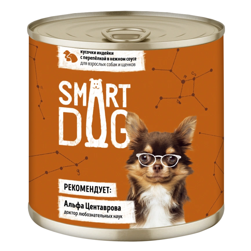 Влажный корм Smart Dog Turkey & Quail для взрослых собак и щенков, кусочки индейки, с перепелкой в нежном соусе, 85 г фото 1